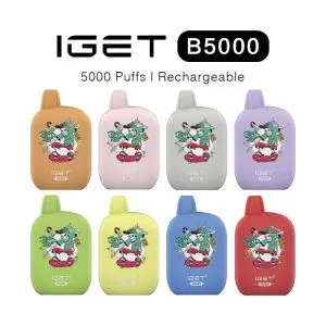 IGET B5000 Rechargeable Vape