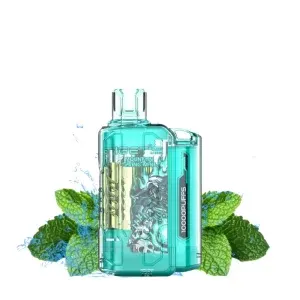 Mountain Spring Mint – IGET Flare B10000 Puffs